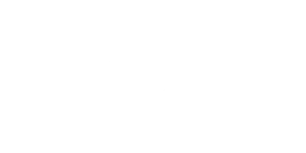 VINA TPT​